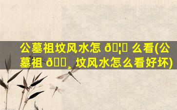 公墓祖坟风水怎 🦊 么看(公墓祖 🕸 坟风水怎么看好坏)